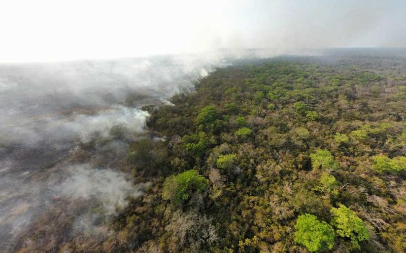 Los incendios de la temporada seca siguen afectando a Petén. / Foto: MAGA.