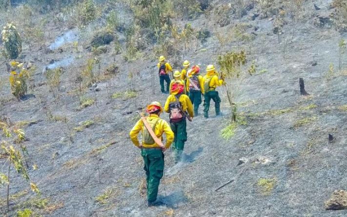 Combaten 12 incendios forestales en áreas protegidas de Petén
