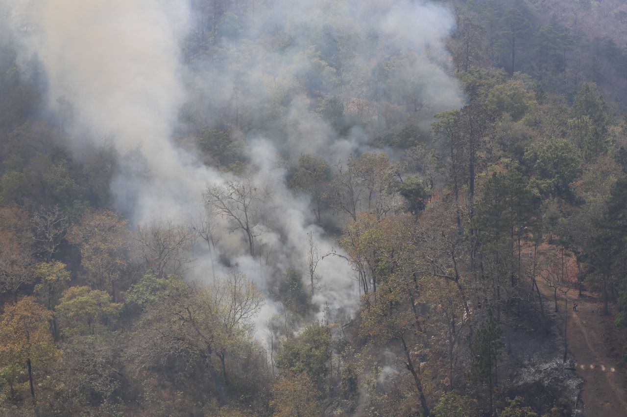 Mantienen acciones de respuesta para sofocar incendio forestal en Sierra de Las Minas