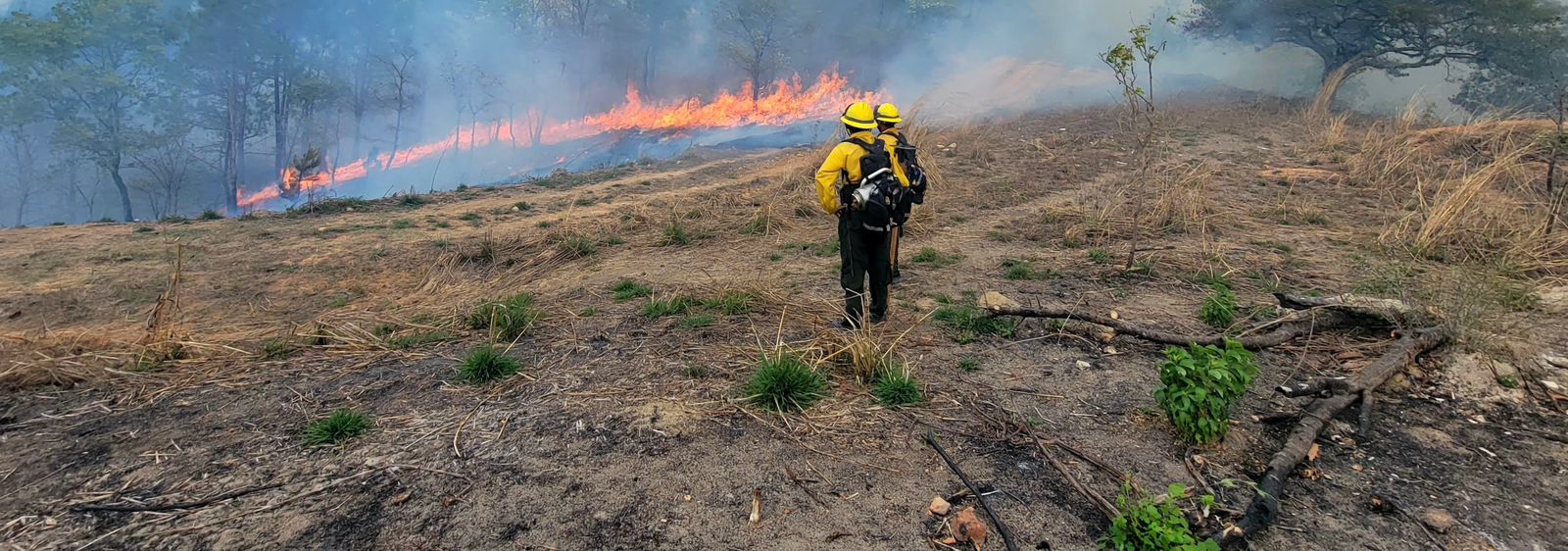 Trabajo conjunto para combatir incendio forestal en Jalapa