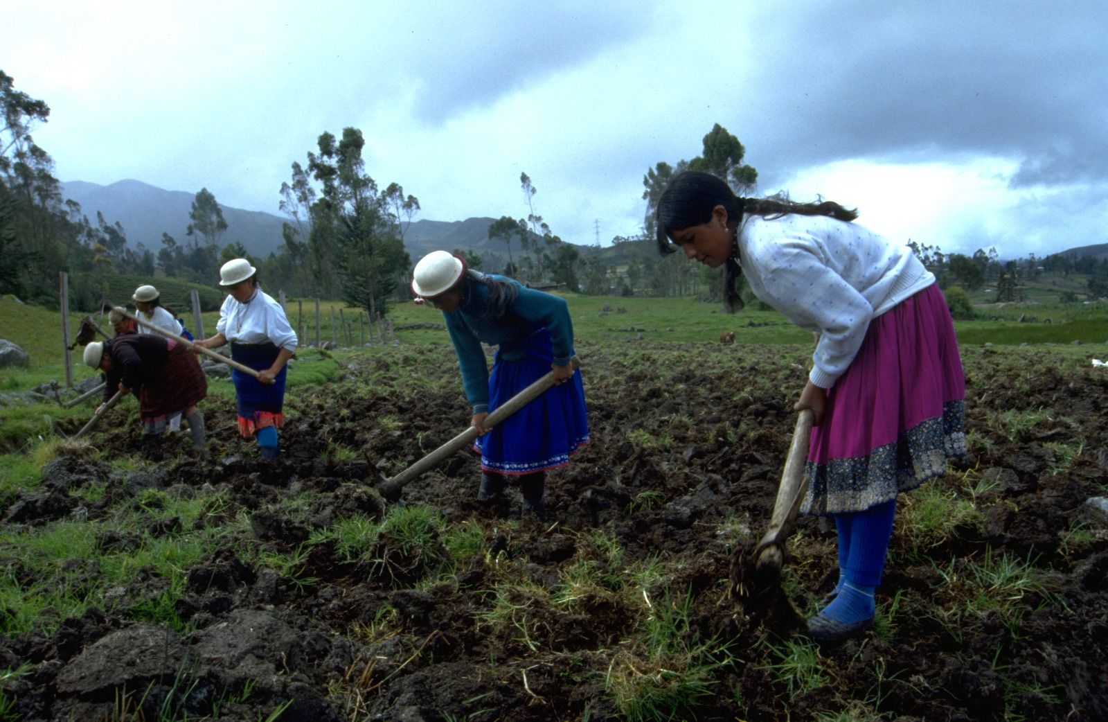 Foro analiza situación de tierras indígenas. / Foto: Caretas.