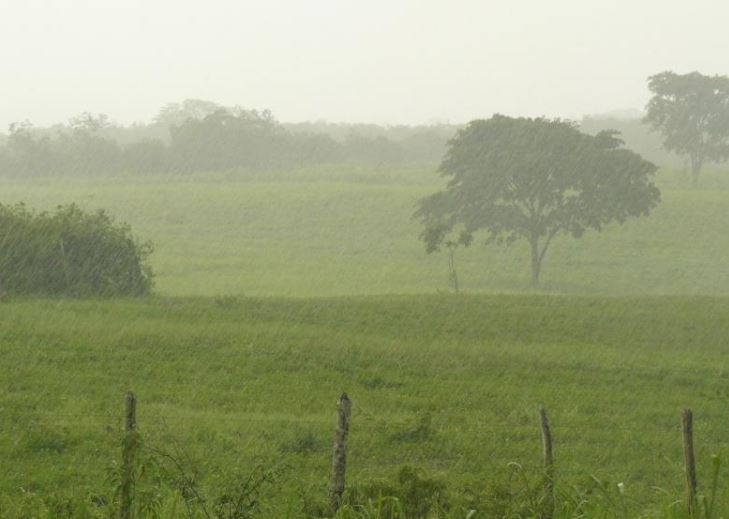 MAGA monitorea ocho departamentos ante persistencia de lluvias