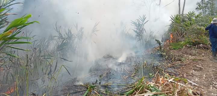 Coordinación interinstitucional para combatir incendios en Guatemala