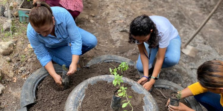 Se benefician con programa Huertos Escolares Pedagógicos en Chimaltenango