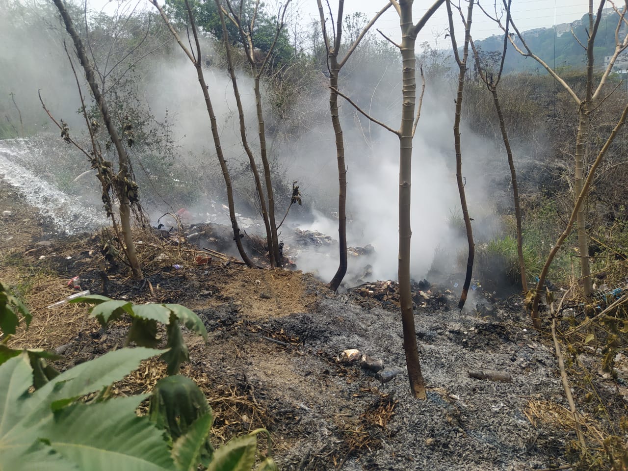 Incendios han consumido el equivalente a 24 mil 400 canchas de futbol