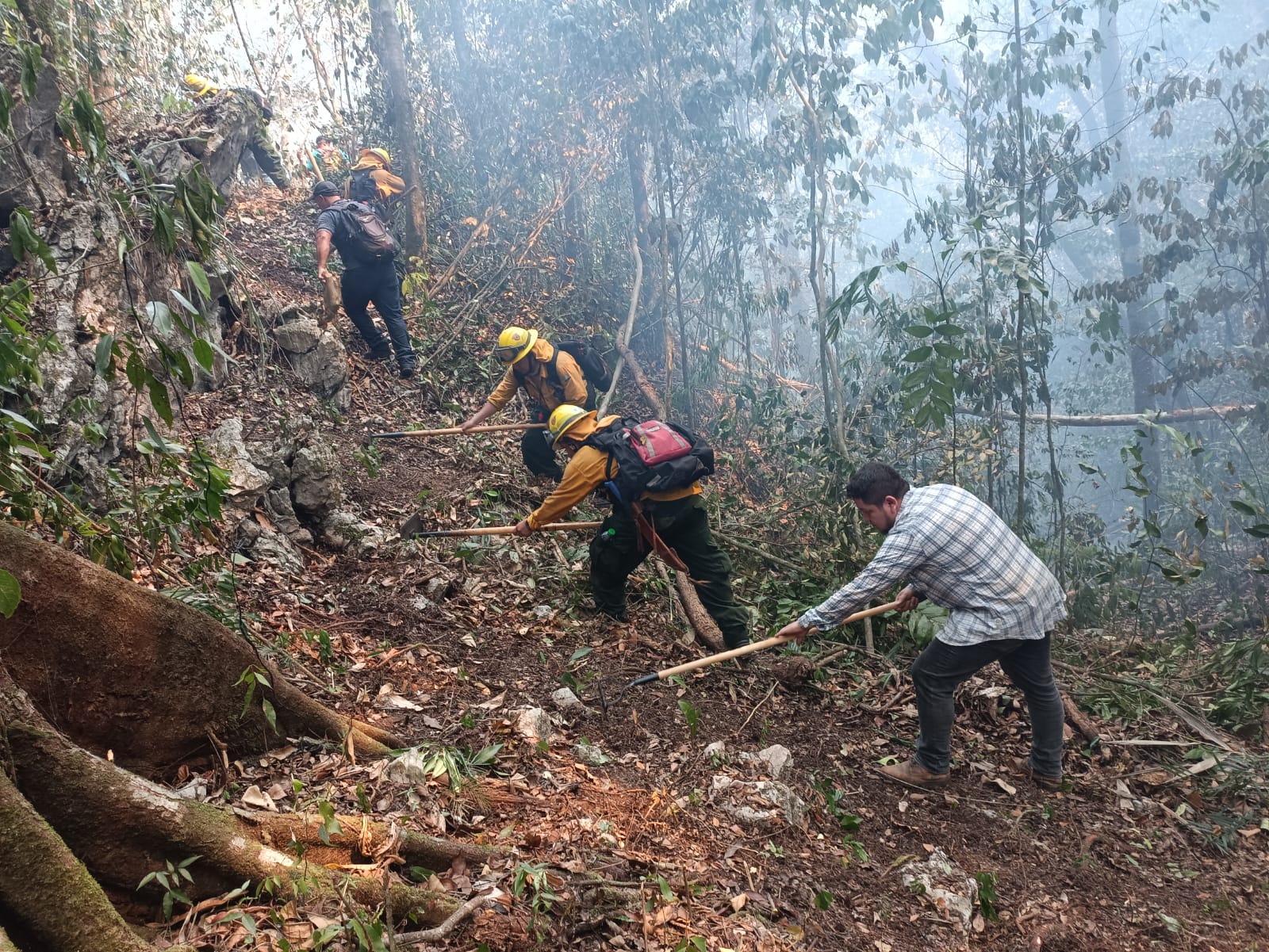 Conred ha sofocado el 96.8 % de incendios de la temporada