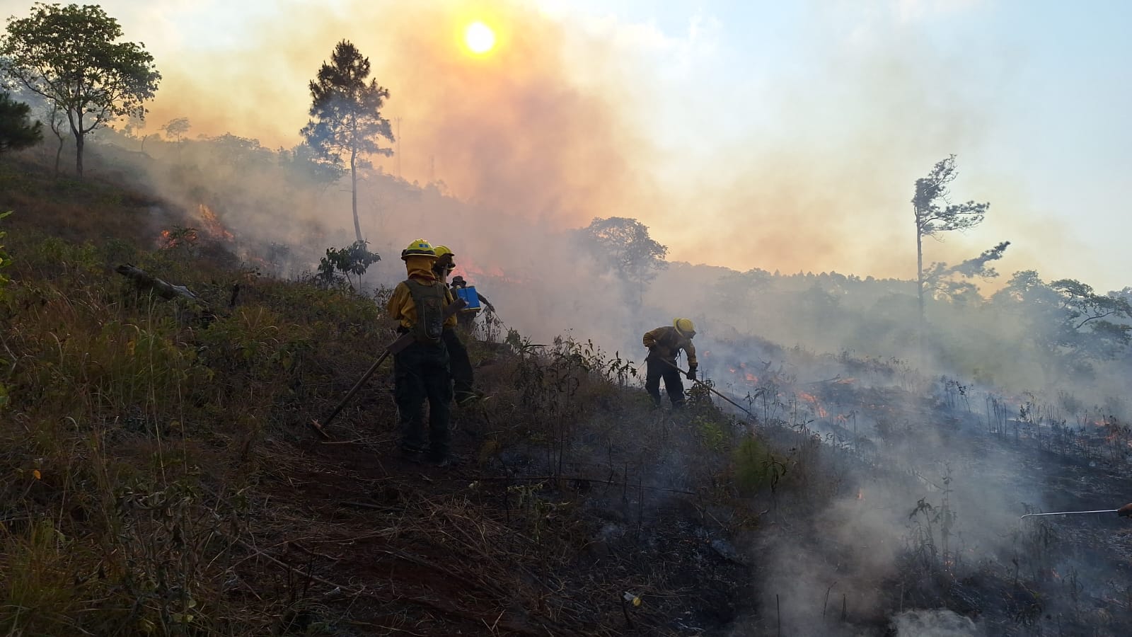 Conred reporta 64 incendios activos en todo el país