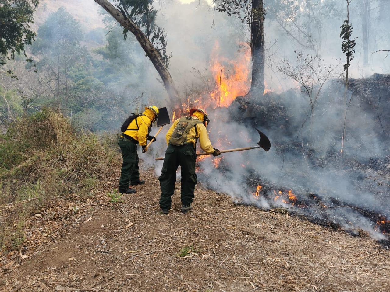 Conred reporta 103 incendios activos este lunes
