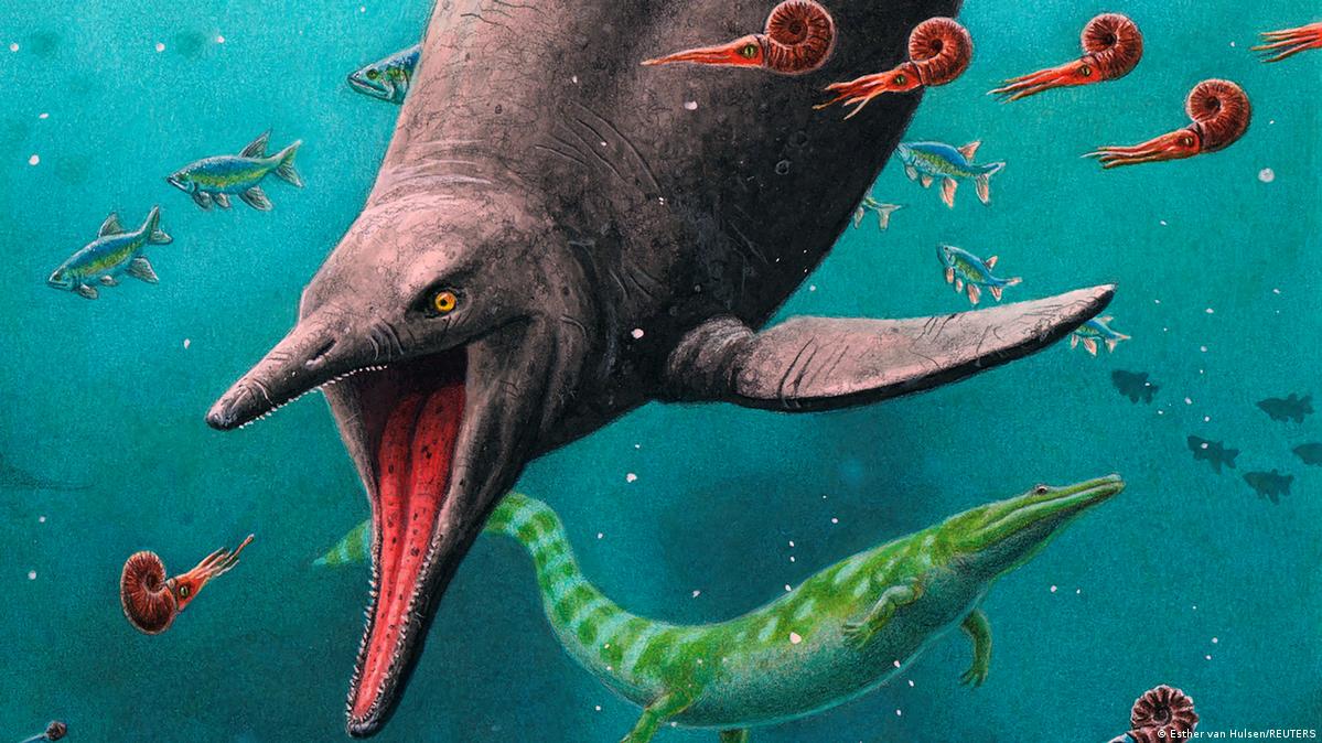 Hallan restos de un dinosaurio marino en la región rusa de Samara