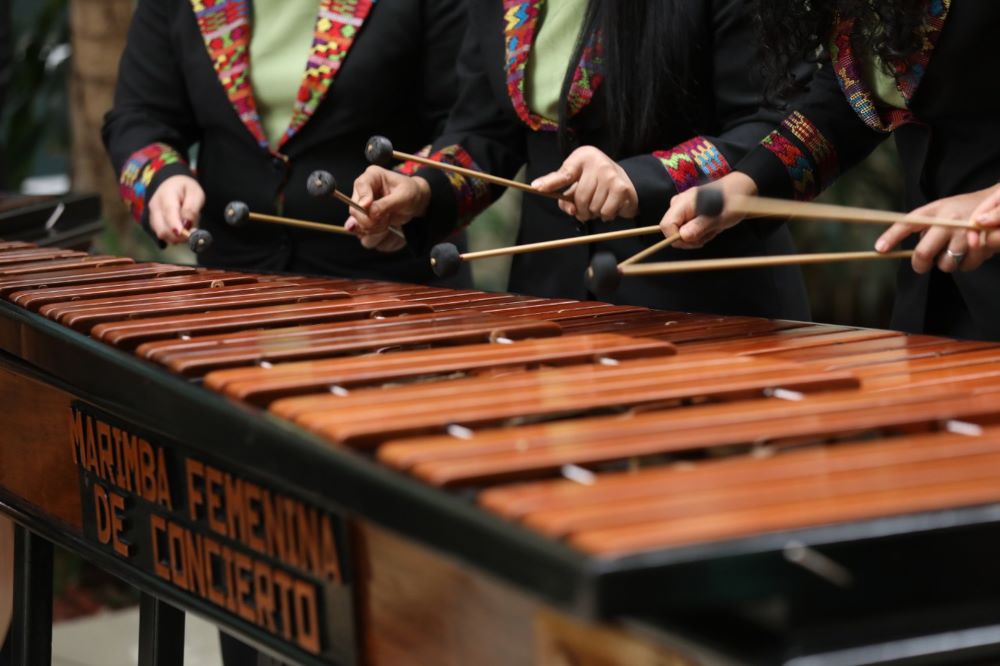 El MCD ofrecerá experiencias culturales inolvidables de forma gratuita