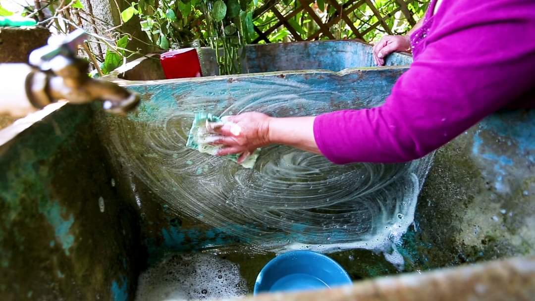 El Ministerio de Salud recomienda lavar las piletas de agua para evitar la proliferación de zancudos transmisores de dengue.
