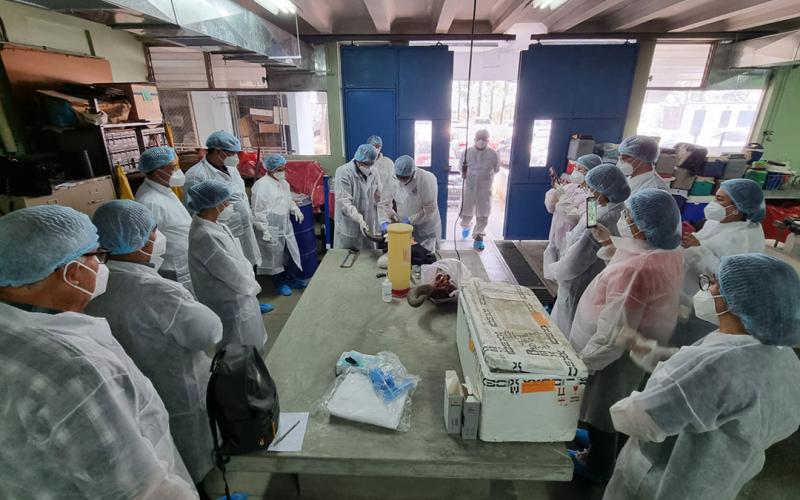 Participantes en taller para detección de rabia bovina. / Foto: MAGA.