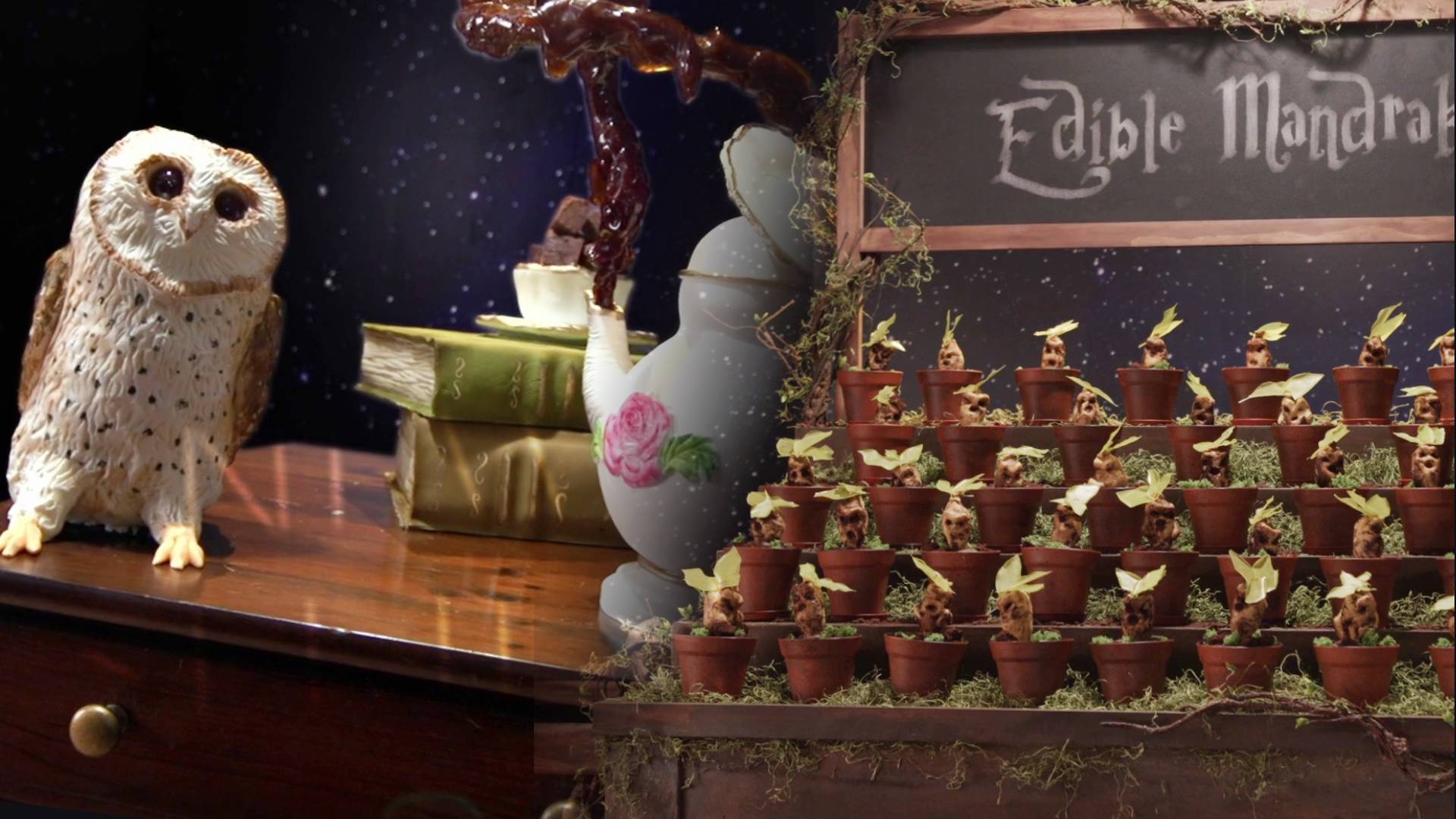 El universo de Harry Potter inspira un nuevo concurso culinario