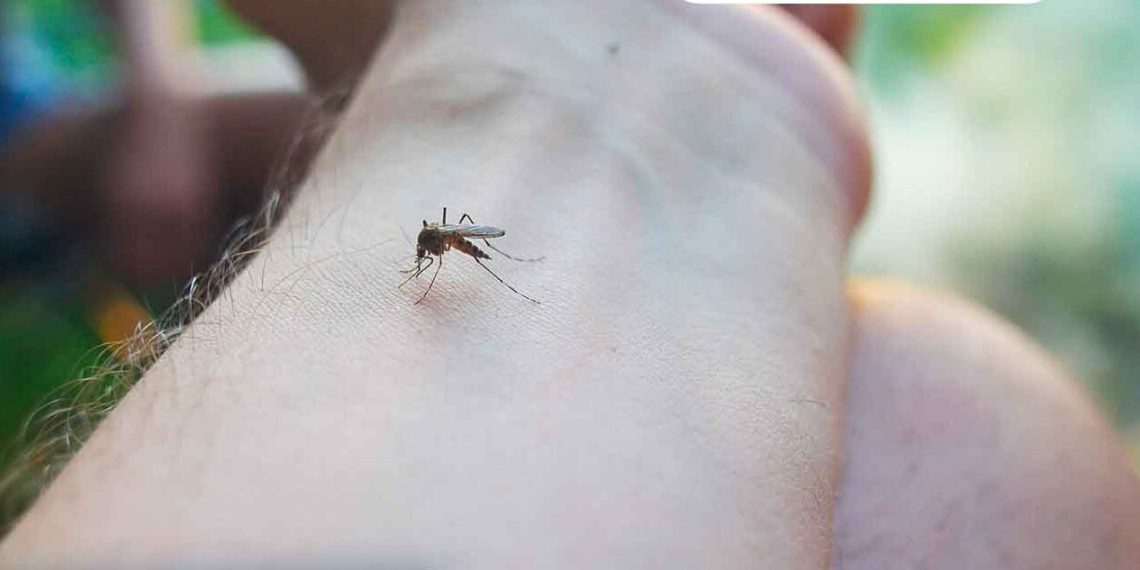 Redes de Salud trabajan en departamentos priorizados por la epidemia de dengue