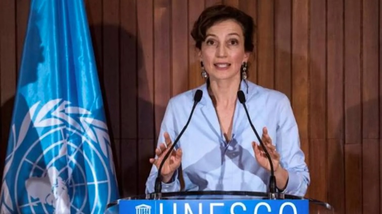 Unesco aboga por la seguridad de periodistas ambientales
