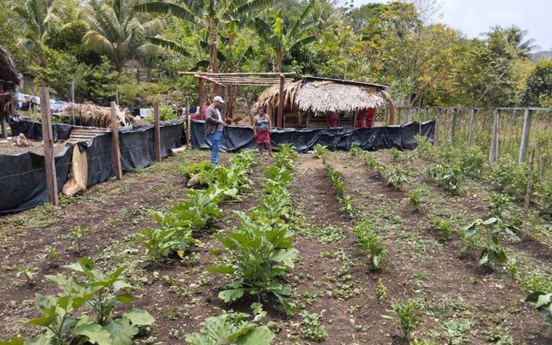 Verifican desarrollo de hortalizas familiares en Poptún, Petén