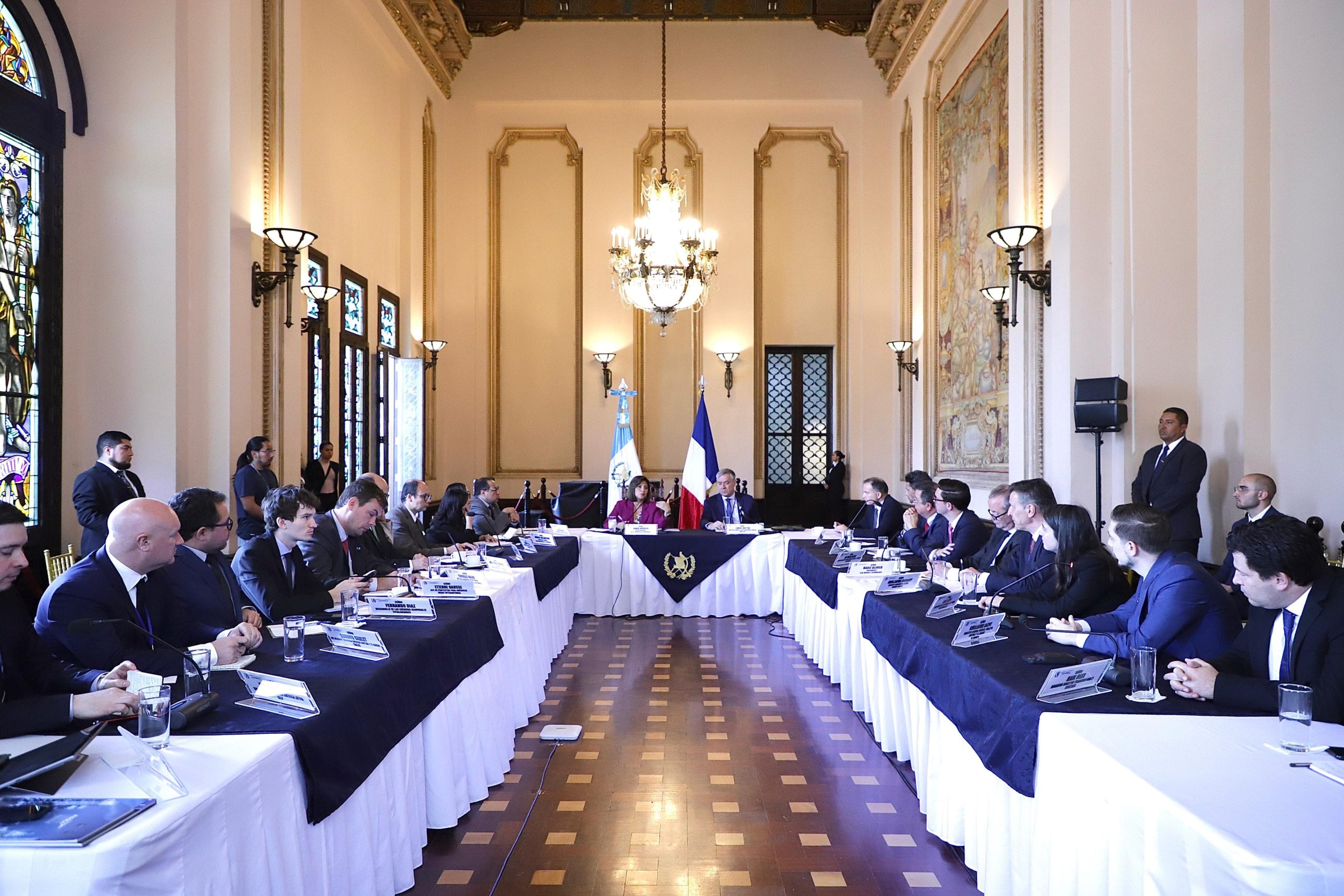 Vicepresidenta Karin Herrera se reúne con empresarios de Francia