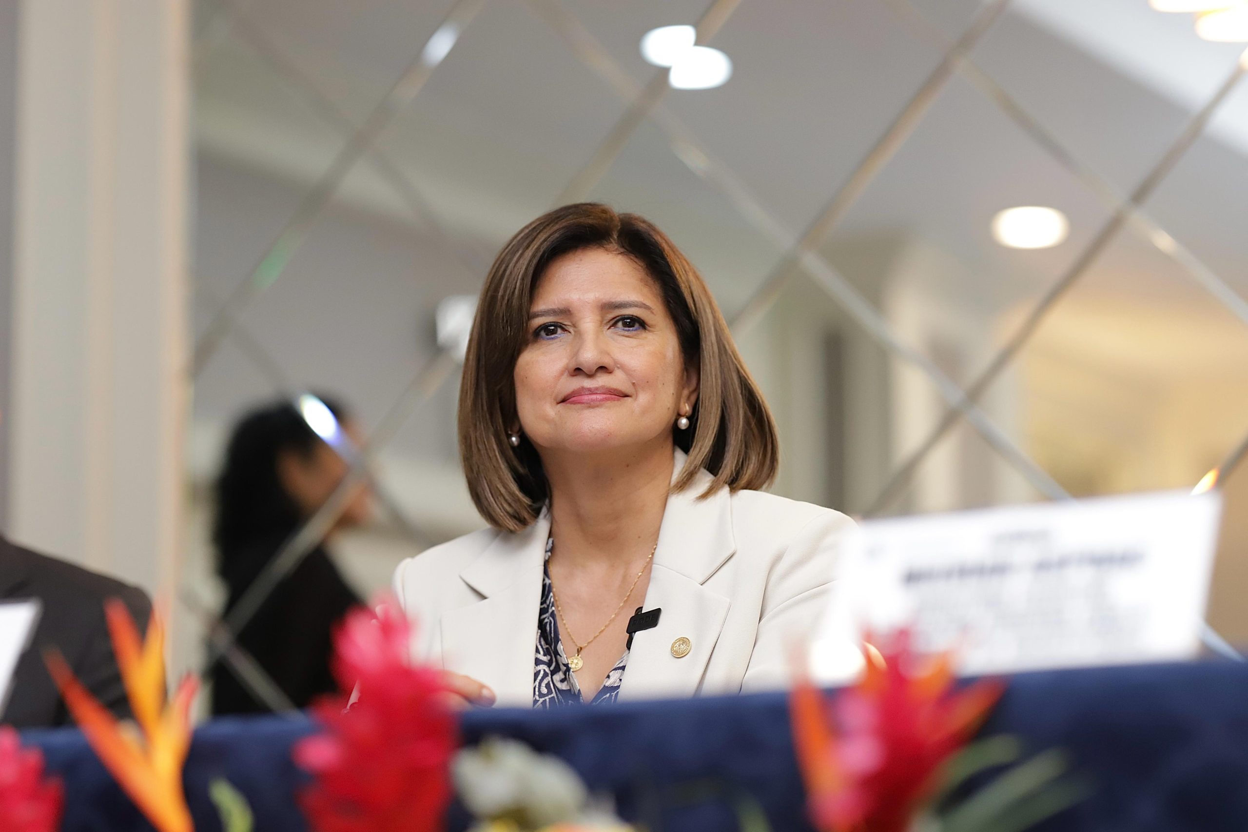 Vicepresidenta Karin Herrera.