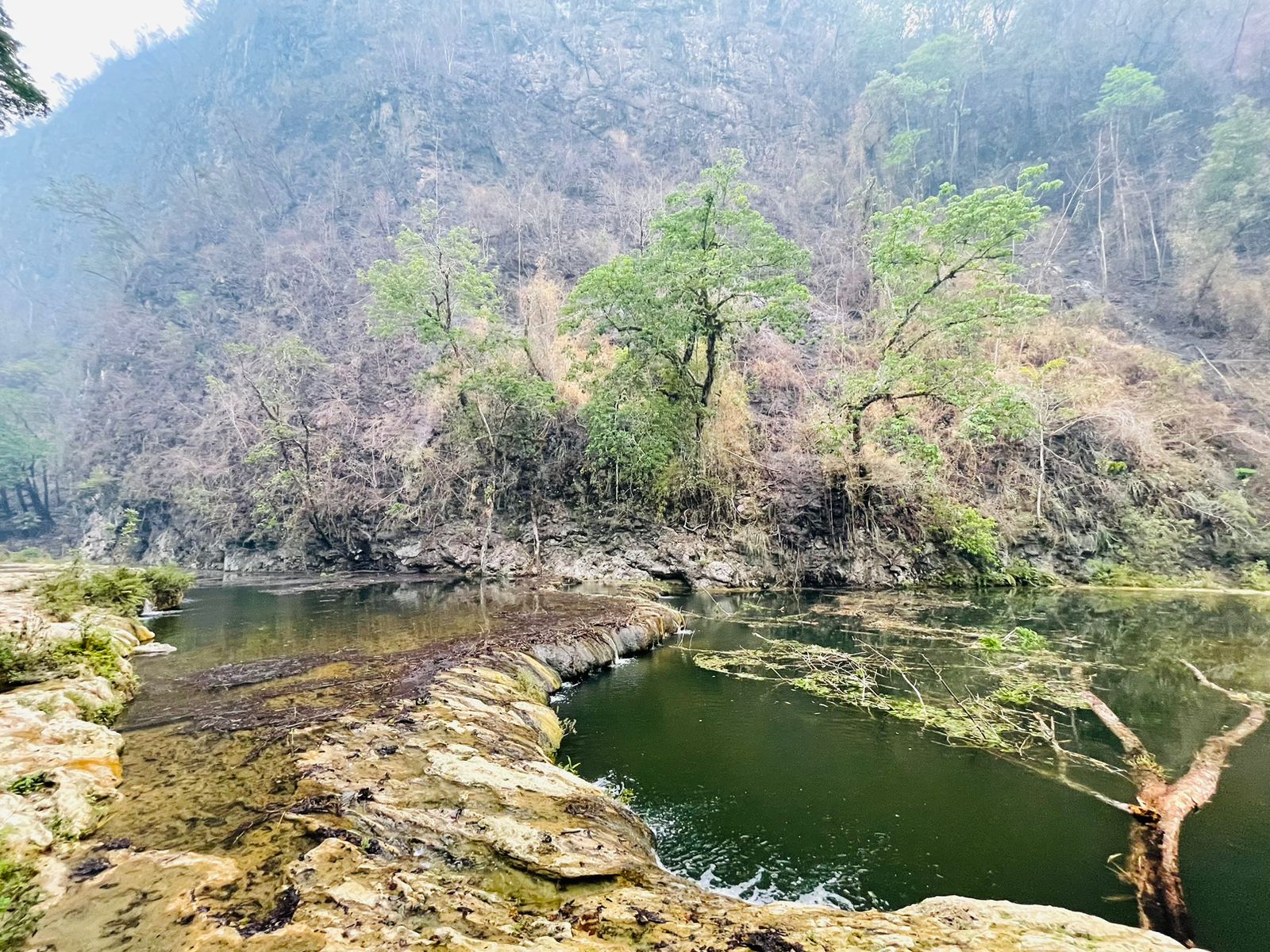 Cierran temporalmente las pozas del Monumento Natural Semuc Champey por incendio forestal