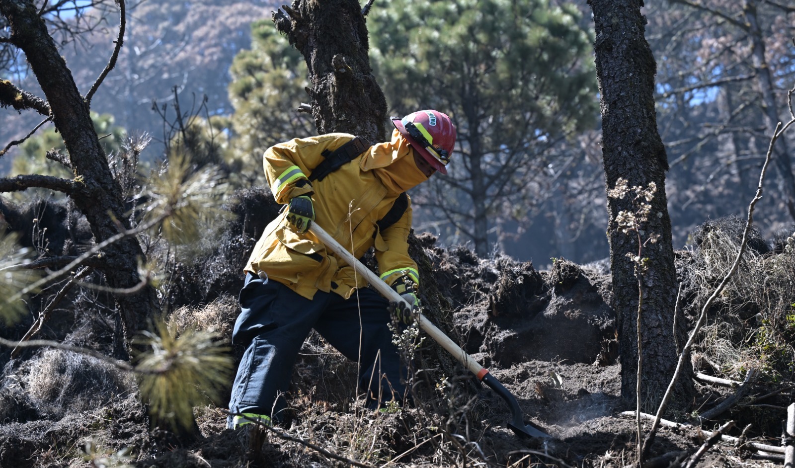 Esfuerzos han permitido el combate de 2 mil 231 incendios en el país
