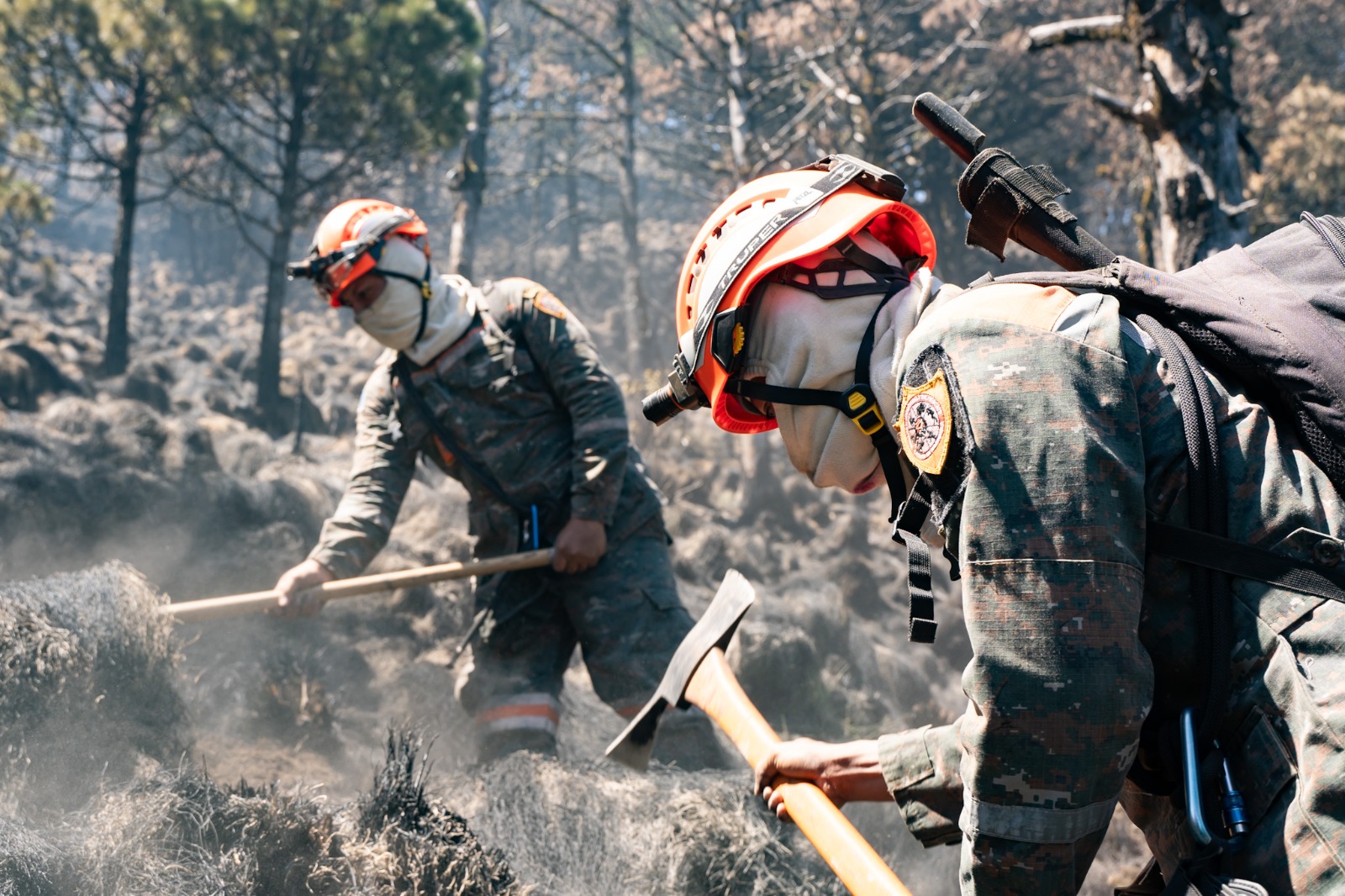 Ministerio de Defensa intensifica lucha contra 13 incendios forestales activos