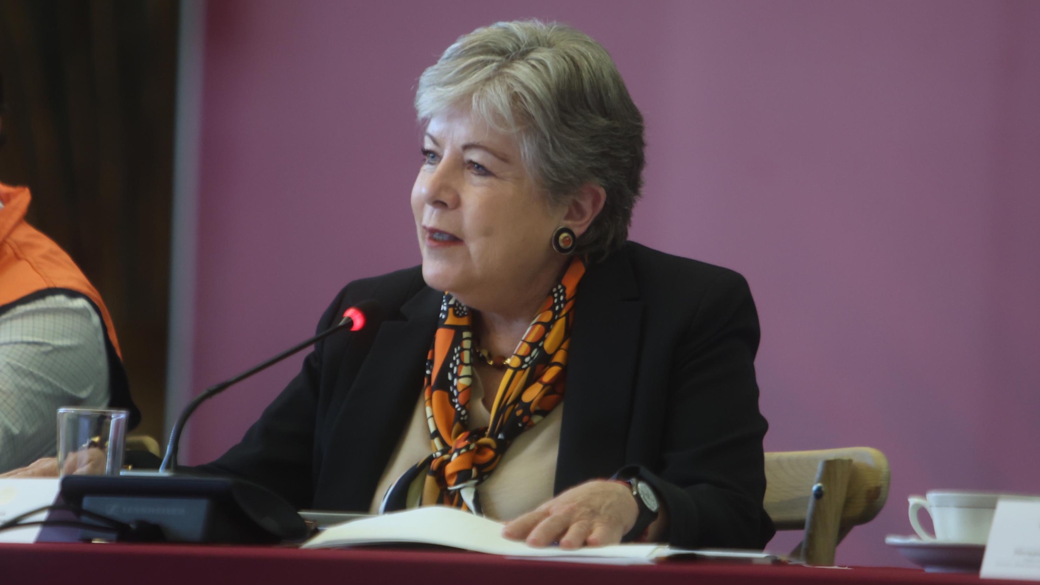 Canciller de México, Alicia Bárcena. / Foto: Secretaría de Relaciones Exteriores de México.
