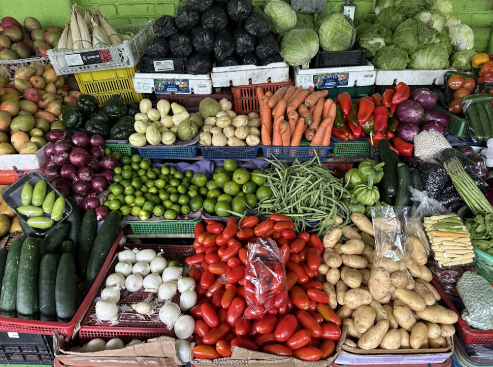 28 de mayo: Día Mundial de la Nutrición. / Foto: DCA.