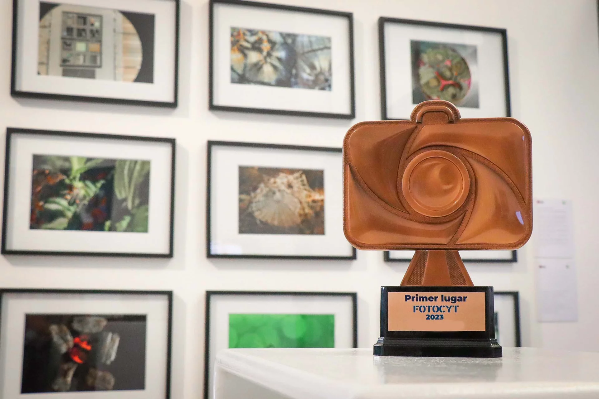 Senacyt lanza concurso de fotografía científica