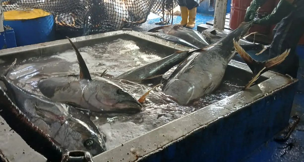 Inspección del buque Templario I por el MAGA, una garantía de pesca sostenible