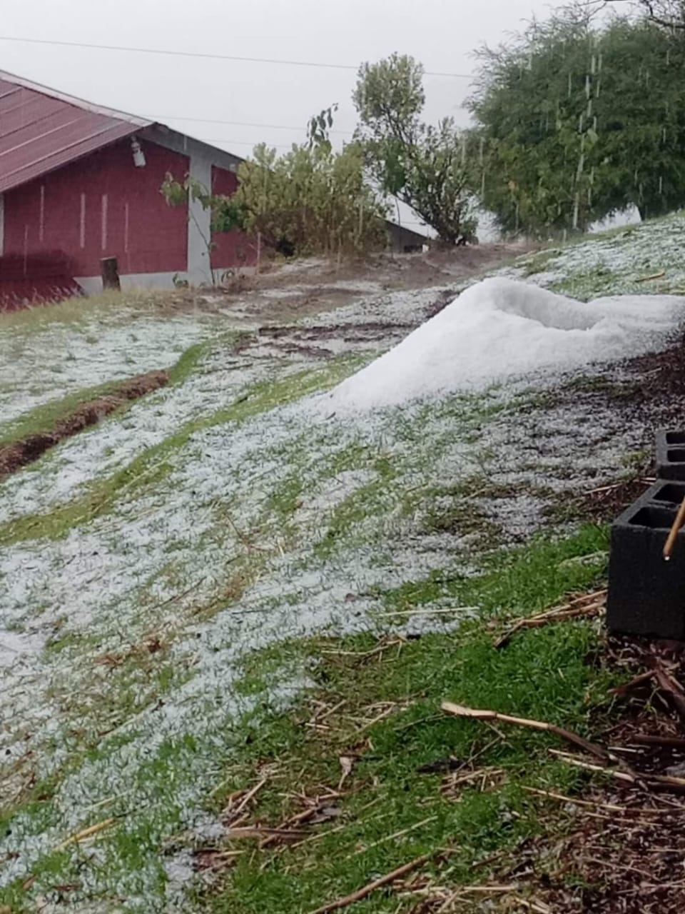 Granizo en Tejutla, San Marcos. / Foto: Conred.