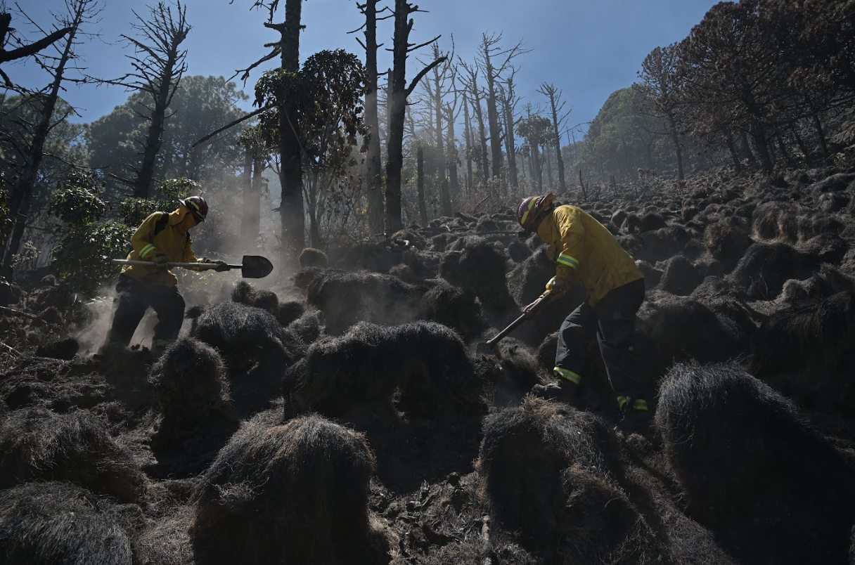 Día del Bombero Forestal, fecha para reconocer a los guardianes de los bosques