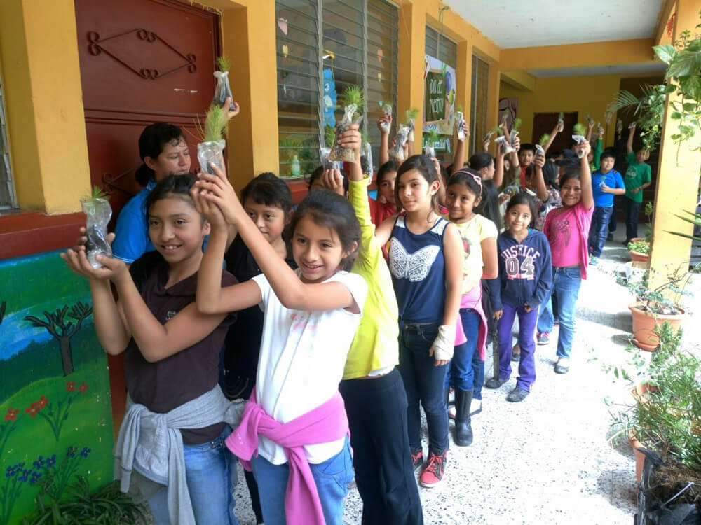 Reforestando Atitlán para un Futuro Verde permitirá sembrar 100 mil árboles