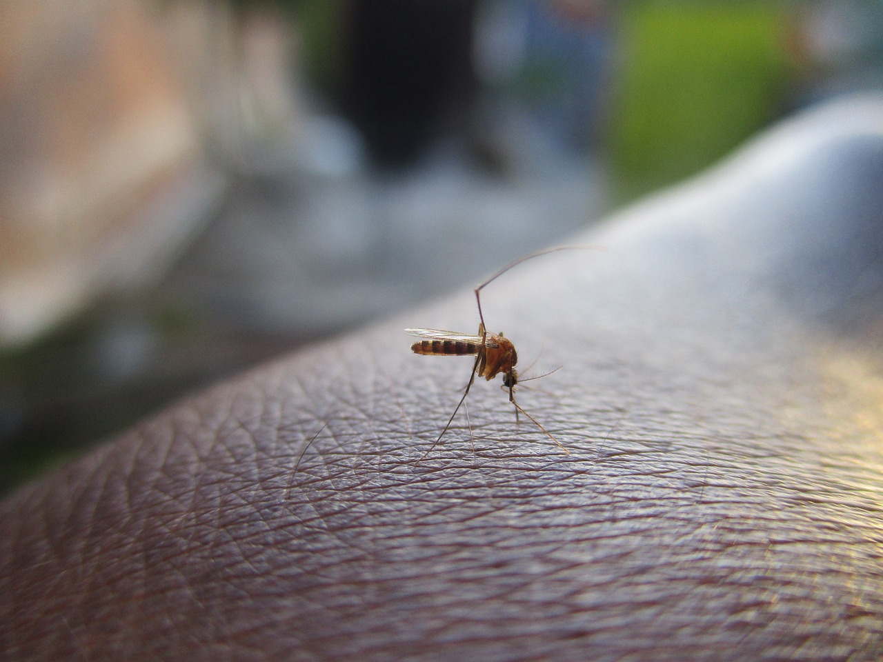 Salubristas hacen el llamado a tomar acción para combatir el dengue. /Foto: MSPAS