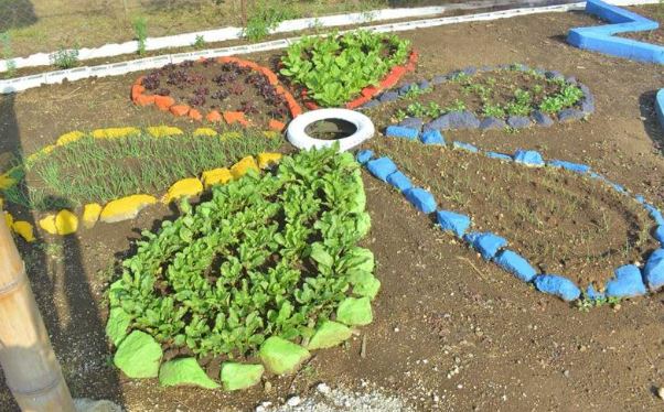 Estudiantes aprenden agricultura y nutrición en Baja Verapaz