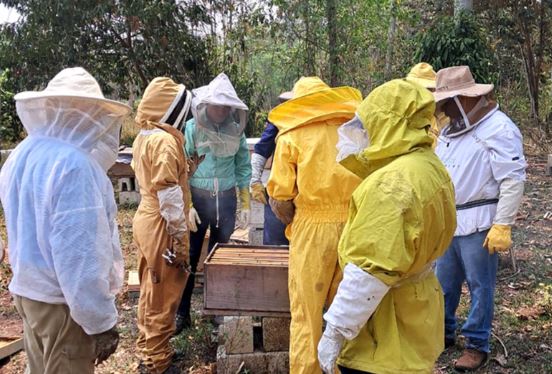 Impulso al desarrollo apícola sostenible en Dolores, Petén