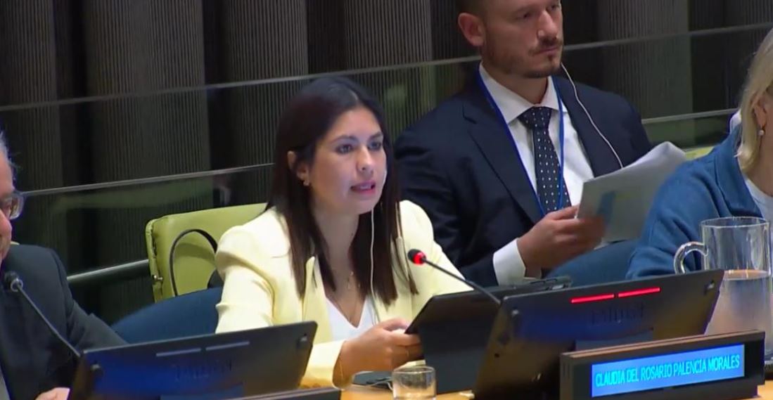 Viceministra de Seguridad destaca avances en foro internacional de la ONU