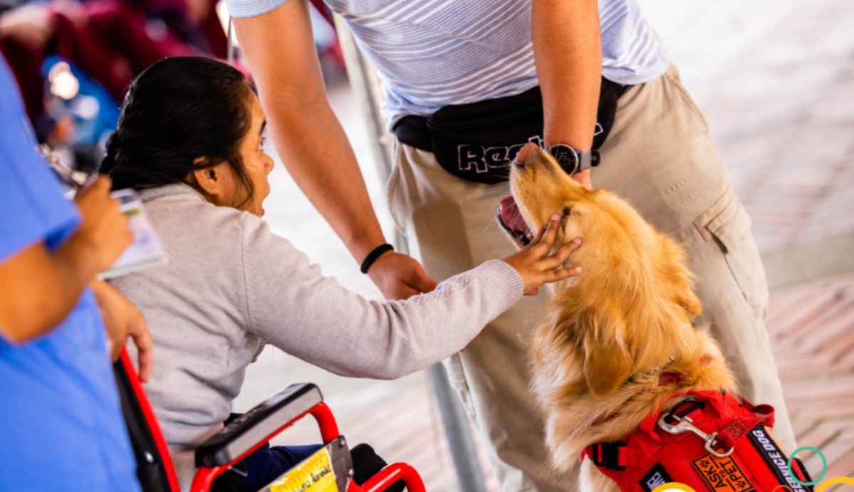 Perros y su servicio comunitario en hospitales y fundaciones del país