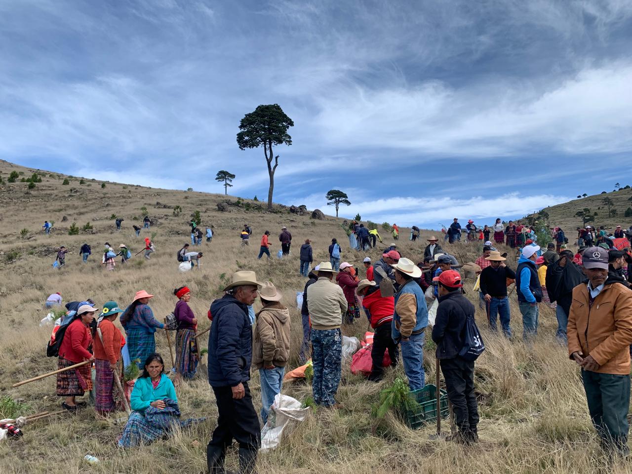 70 mil árboles serán plantados como parte de la campaña Sembrando Huella en San Marcos