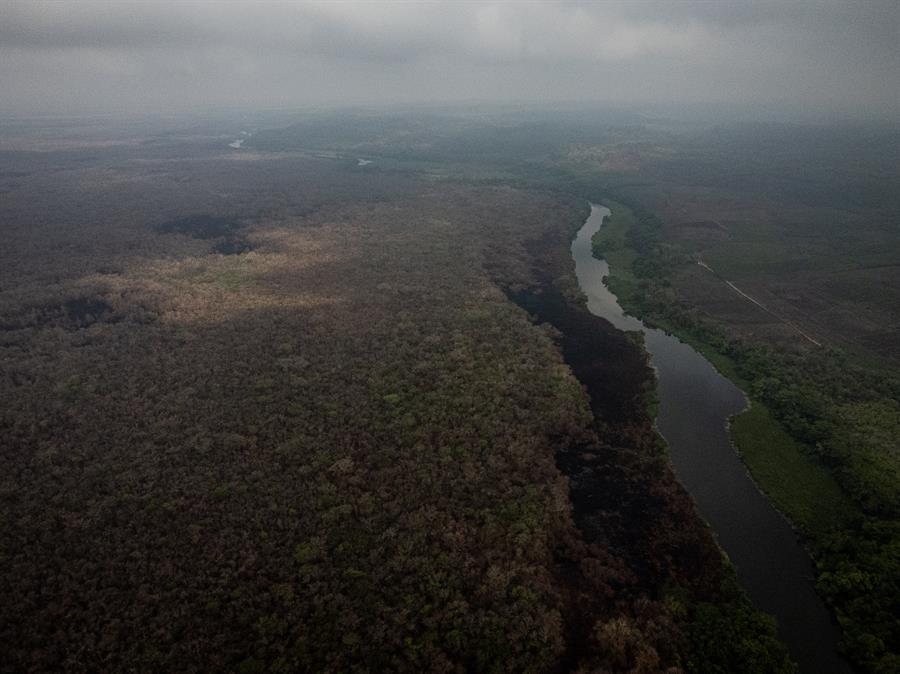Los incendios forestales consumieron más de 15 mil hectáreas de bosque en la selva maya de Petén.