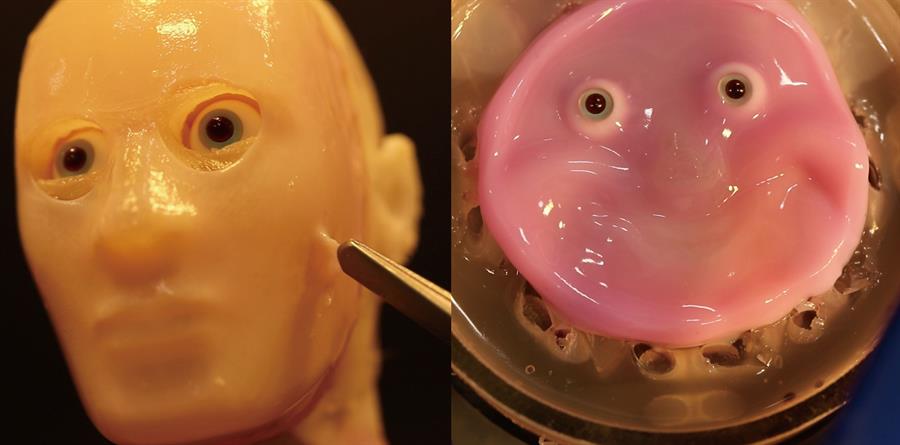Investigadores japoneses desarrollan robot facial con piel ‘viva’ hecha de células humanas