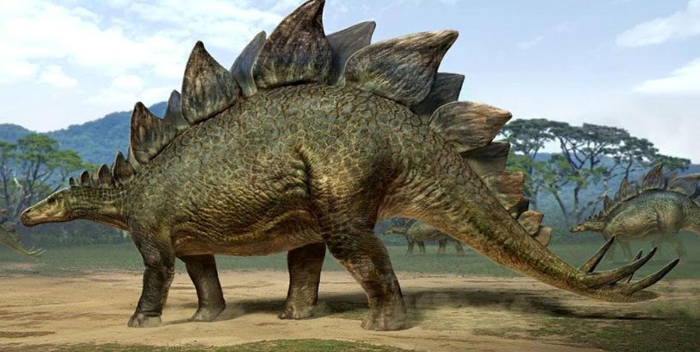 Equipo multidisciplinar descubre la estructura de nidificación de grandes dinosaurios