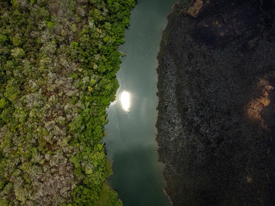 Un humedal afectado por los incendios en el Parque Nacional Laguna del Tigre el 13 de junio de 2024, contuvo el fuego que destruyó decenas de hectáreas de bosque.