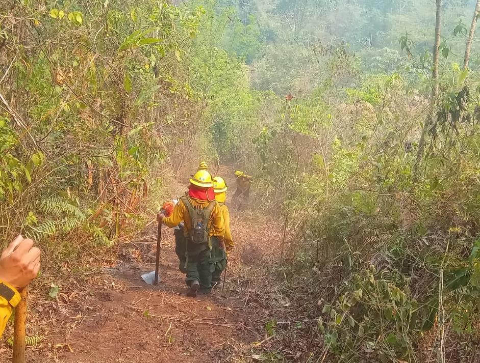 Conred reporta 87 incendios activos, de los cuales 46 se ubican en Petén