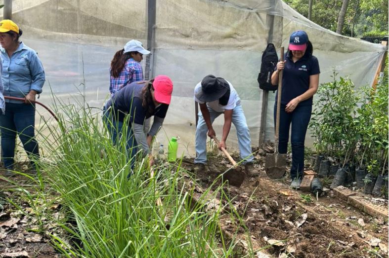 Instalan huertos de plantas medicinales en Guatemala
