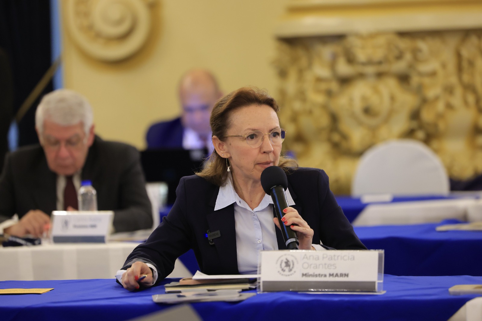 Patricia Orantes, ministra de Ambiente y Recursos Naturales. / Foto: Gilbert García.