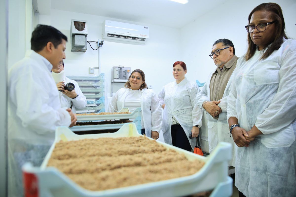 Autoridades de esta cartera realizan una visita a las instalaciones de la planta El Pino. / Foto: MAGA.