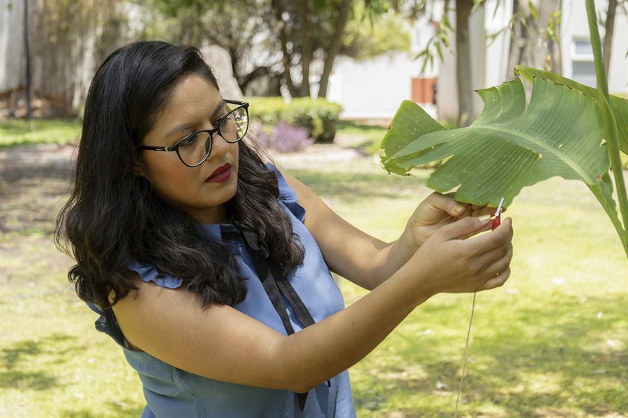 La científica mexicana Laura Xochit'l Cruz creó un dispositivo para generar música a base de sonidos de las plantas.