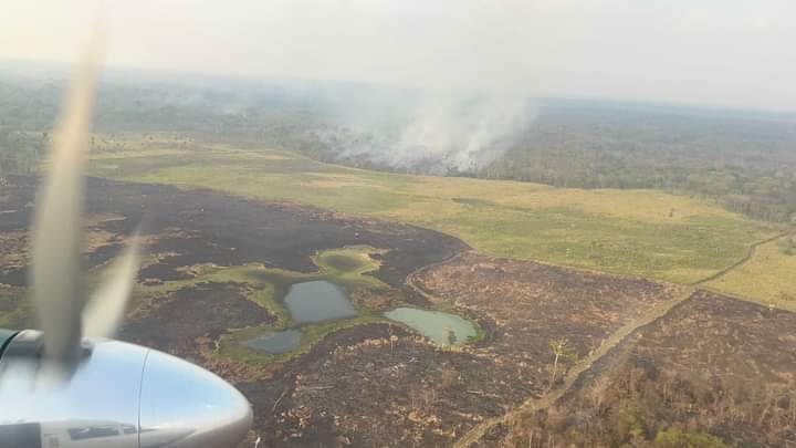 Reportan 18 incendios activos y 519 incendios controlados en Petén