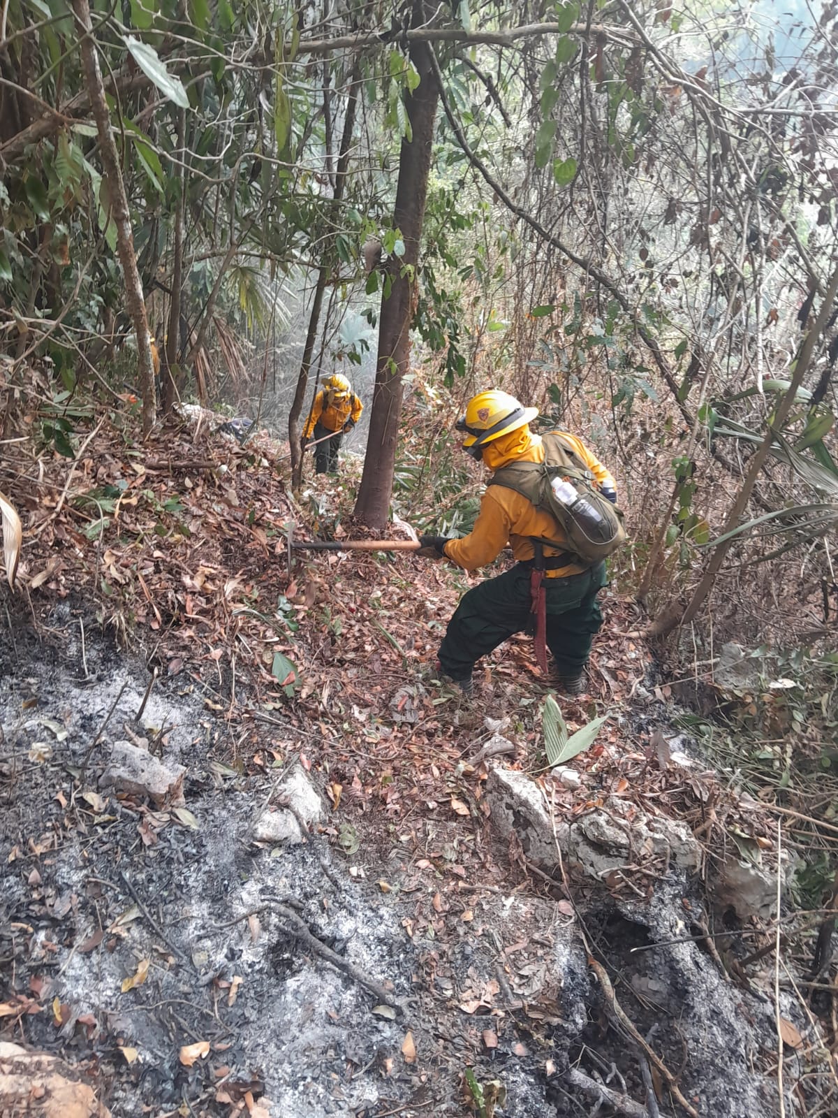 Continúan 90 incendios activos en el territorio nacional
