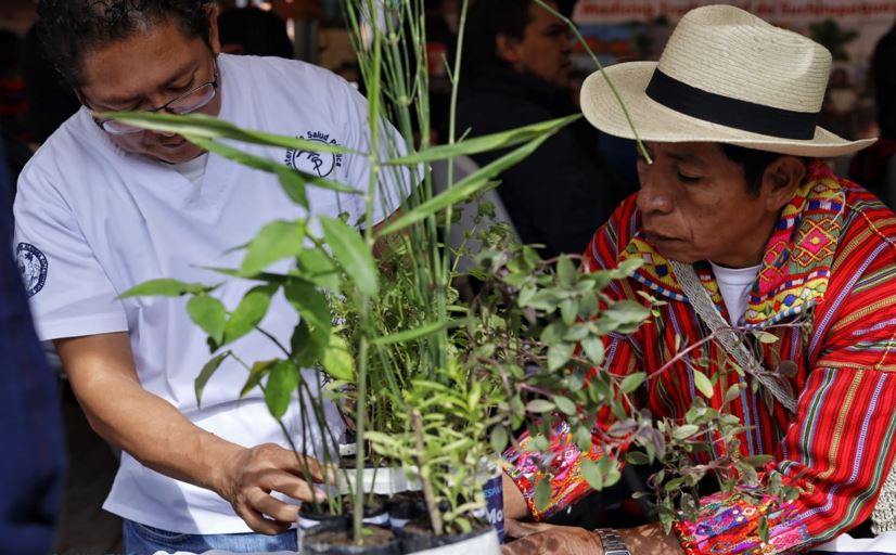 Promueven la medicina ancestral y reconocen trabajo de las abuelas comadronas de Sololá